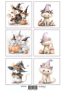 Hovedbilde Enchanted Halloween  2