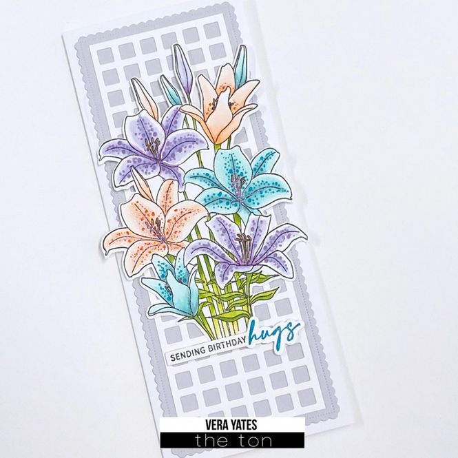 Hovedbilde SLIMLINE - Grid Coverplate ...