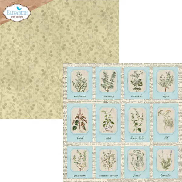 Delightful Discovery 12x12 Inch Patterned Cardstock (C041)