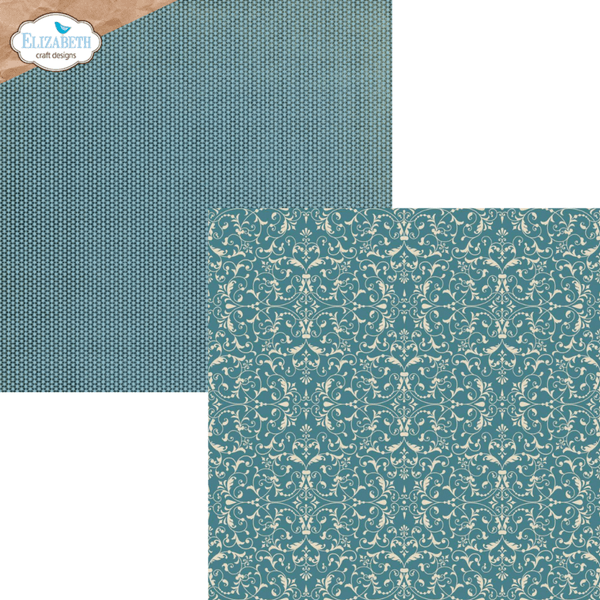 Delightful Discovery 12x12 Inch Patterned Cardstock (C041)
