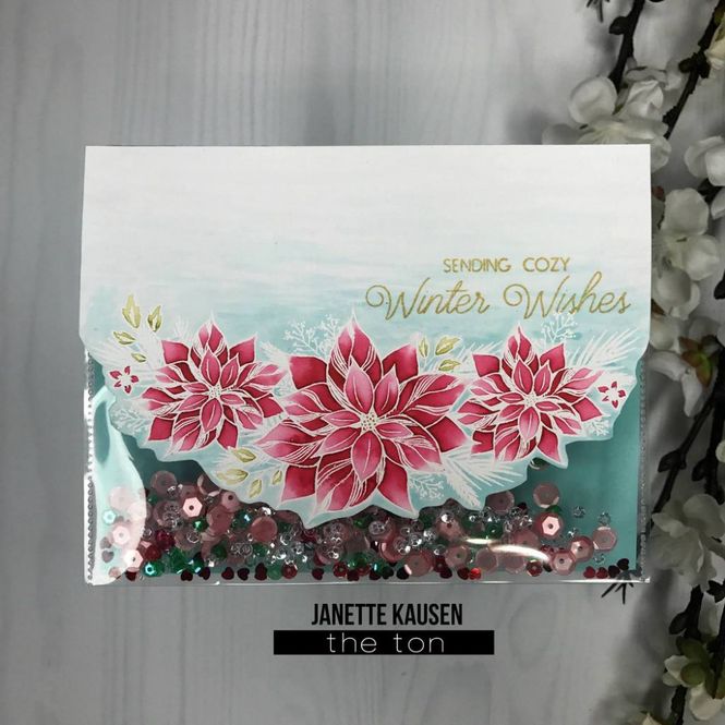 Hovedbilde Cozy Poinsettias