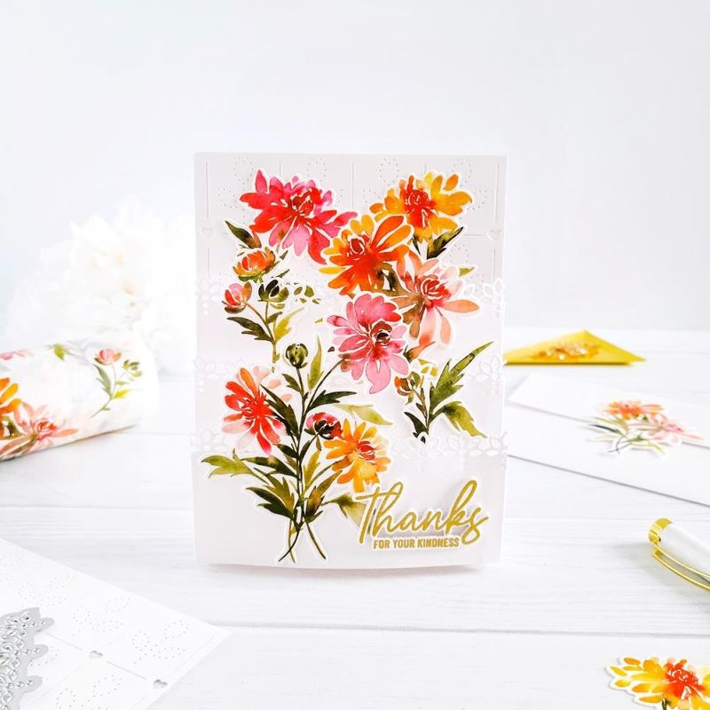 Chrysanthemum - dies