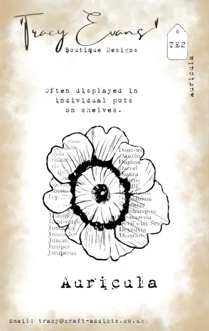 Hovedbilde TE002 - Auricula (A7 stamp)