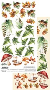 Hovedbilde AA-FOTF-09