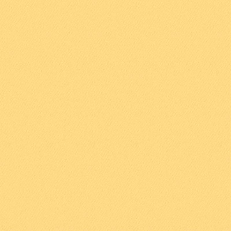 Beach Vibes - Solids #2 12