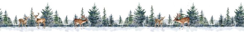 Winter Forest Transparent Stickers on Roll 49