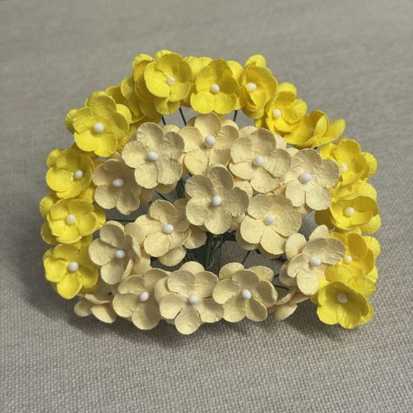SØTE BLOMSTER, GUL
