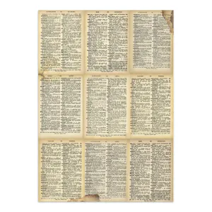 Hovedbilde Voyages Fantastiques Junk ...