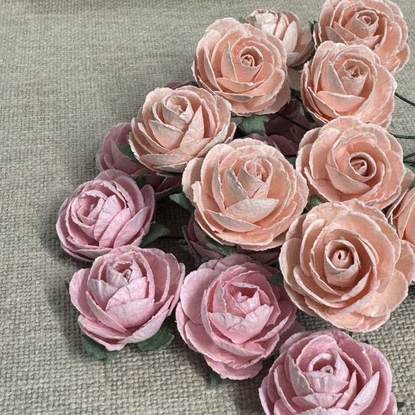 PION, VARM ROSA