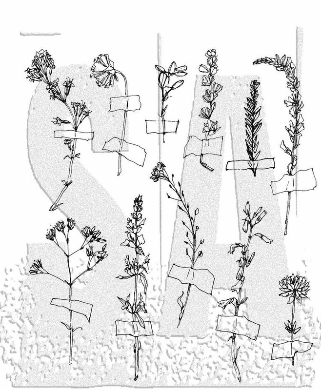 Forgotten Garden 