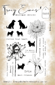 Hovedbilde TE056 - Beauty Surrounds Us ...