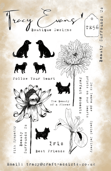 TE056 - Beauty Surrounds Us A5 Stamp 