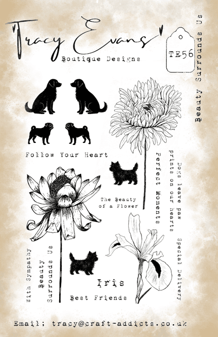 Hovedbilde TE056 - Beauty Surrounds Us ...