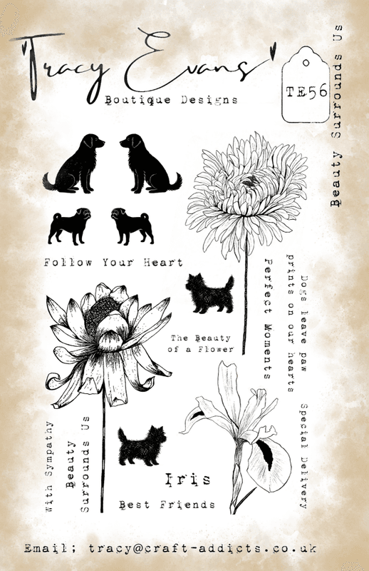 TE056 - Beauty Surrounds Us A5 Stamp 