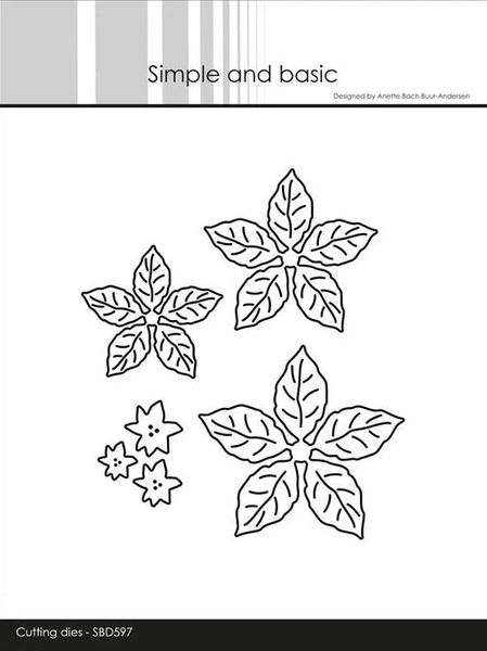 Poinsettia