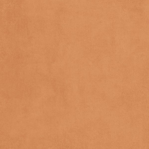 Country Heart Cafe Solids Sheet – Spiced Pumpkin