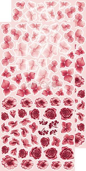 BASIC - FLOWERS - SET 08 - Pink
